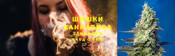 трава Снежинск
