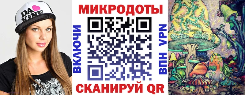 блэк спрут как войти  Новоузенск  Псилоцибиновые грибы ЛСД 